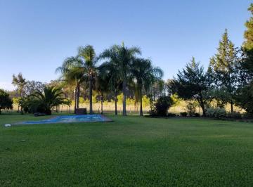 Campo · 350m² · 1 Ambiente · Campo en Venta de 100 Hectáreas en Concepción del Uruguay