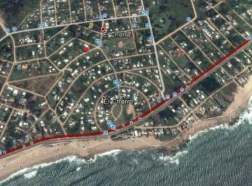 BPV-BPV-10899_2 · Lote | Corvina Blanca