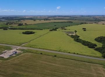 Campo · Campo en Victoria
