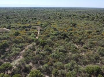 Campo · 4250000ha · Campo Ganadero en Venta en La Concepción, Traslasierra!