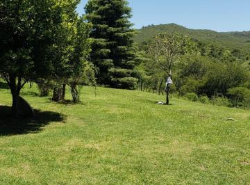 Foto · Terreno Venta Falta del Carmen Escritura Inmediata