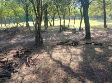 Foto · Terreno Venta Falta del Carmen 1.41 Has Sobre Ruta 96 Escritura Inmediata