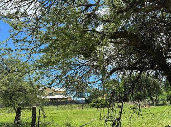 Terreno · 1009m²