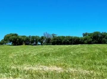 Terreno · 581m² · Terreno en El Marquesado, Lote Barrio Parque El Marquesado, Mar del Plata, Lote en Chapadmalal
