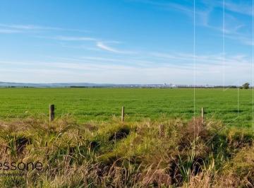 Campo · 500000m² · Campo 100% Agricola Facil Acceso