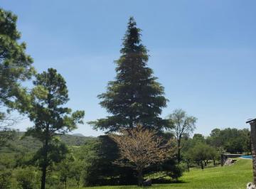 Foto · Terreno Venta Falta del Carmen 1 Hectarea Sobre La Ruta P96 Escritura Inmediata