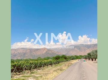 Terreno · 3480m² · Terreno en Venta Estancias de Cafayate