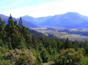 Campo · 20000m² · .