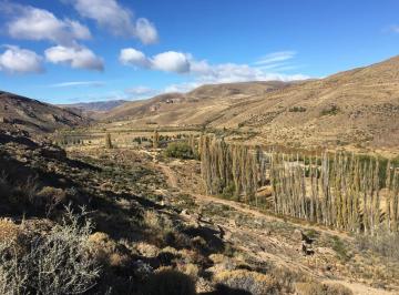 Campo · 11460000m² · Campo - Portezuelo