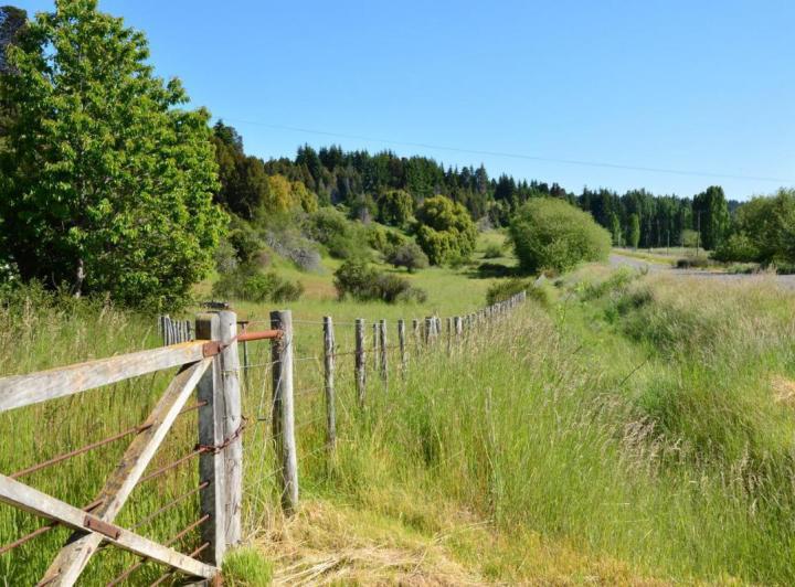 Campo · 40000m²