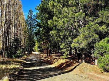 Terreno · 2505m² · Venta de Lote en Dina Huapi, San Carlos de Bariloche - Apto PH - Financiado