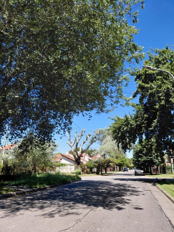 Lote en esquina de 451m2 en Los Pinares