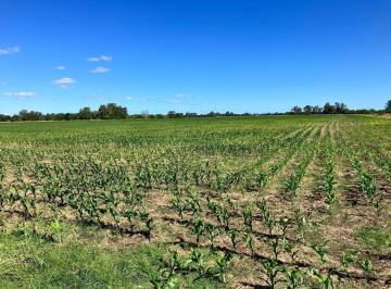 Campo · 165000ha · Campo en Navarro