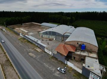 Bodega-Galpón · 4200m² · Galpón Industrial Sobre Ruta 7