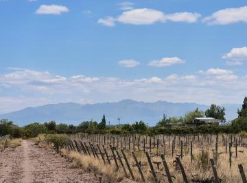Terreno · 60000m² - Adriano Carrieri · Terreno / Finca en Venta en Russell, Maipu.