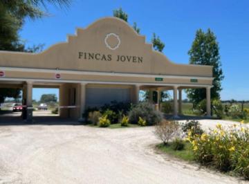 Terreno , San Vicente · Terreno de 706 m² en Venta en Fincas Joven