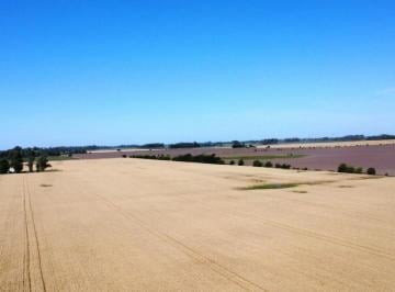 Campo · 50000m² · 1 Ambiente · Venta 5 Hectáreas Carlos Keen (Cerca de Emilio Mitre)