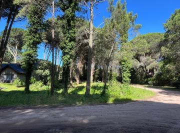Terreno · 924m² · Lote en Venta en Carilo, a Pocas Cuadras del Centro, Caoba y Urraca