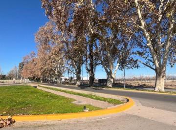 Terreno , Luján de Cuyo · Lote a La Venta en El Barrio Privado Qvattro Viamonte