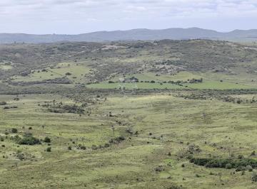 Foto1 · Campo de 200 Hás en El Departamento de Maldonado