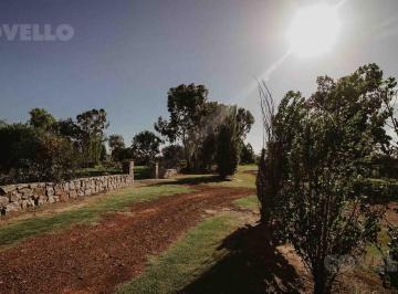 Terreno · 4950m² · Venta Terreno - El Faro