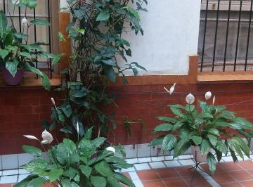 PH · 54m² · 3 Ambientes · PH en San Cristobal