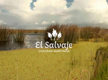 Terreno · 2500m² · Terreno en Venta