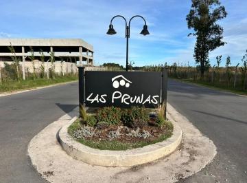Terreno · 925m² · Venta Lote de 925 m² Las Prunas Mar del Plata
