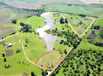 Terreno · 6475m² · Venta - Terreno - Carmelo - Barrio La Concordia