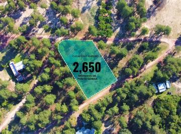 Terreno · 2650m² · Venta - Terreno - Carmelo - Casa Chic - Barrio Medanos de Punta Gorda