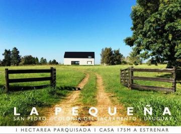 Campo · 175m² · 3 Ambientes · 1 Cochera · San Pedro, Colonia - Venta de Acogedora y Funcional Chacra de 2 Dorm. en Colonia