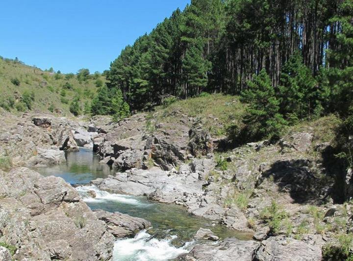 Terreno · 400m²