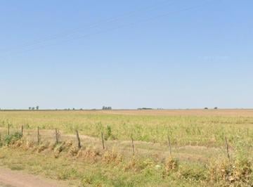 Campo · 115000m² · Campo en Coronel Bogado