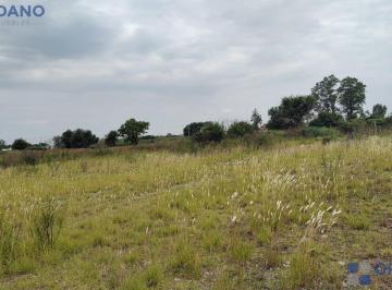 Terreno · 524m² · 4 Dormitorios · 1 Cochera · Terreno en Barrio Palmar Casas y Galpón