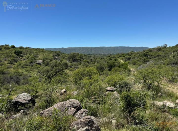 Terreno · 8000m²