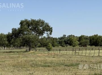 Terreno · 5086m² · Terreno Interno en Haras El Malacate - 76