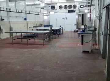 Bodega-Galpón · 1340m² · Planta Frigorífica Ciclo 2 de 1560 m² en Mataderos