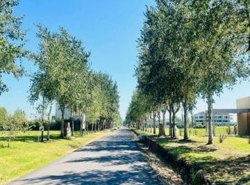 Terreno · 1000m² · Terreno Venta 20x50 m - 1000 m 2 Totales - Haras del Sur III