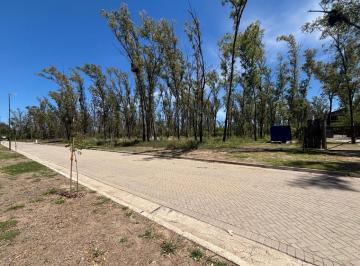 Terreno · 4539m² · Venta Macro Lote Mixto - 4.539 Mt / Numa /nuevo Malagueño