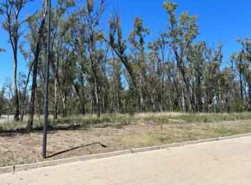 Terreno · 4539m² · Venta Macro Lote Mixto - Numa /nuevo Malagueño