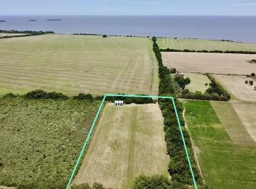 Campo · 19780m² · 1 Ambiente · Chacra en Venta de 1 Hectárea 978 m² en Camino Escalera Caracol