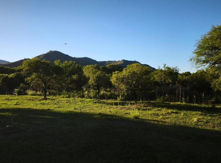 Terreno · 1000m²