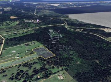 Foto1 · Campo de 5 Has con 4658 m² en La Pataia