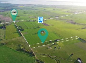 Quinta vacacional · 70m² · 3 Ambientes · 1 Cochera · Venta de Chacra en Carmelo Sobre Ruta 21 de 3,6 Hectáreas