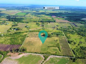 Campo · 120ha · 3 Ambientes · 1 Cochera · Venta - Chacra - Carmelo - Camino La Muralla