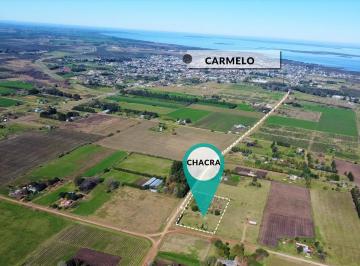 Quinta vacacional · 10000ha · Venta - Chacra - Carmelo - Colonia Estrella