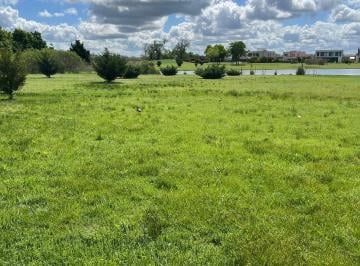 Terreno · 900m² · Terreno en El Molino Sur