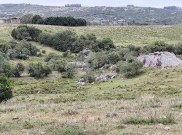 Foto1 · Campo de 22 Has en Paraje Carape
