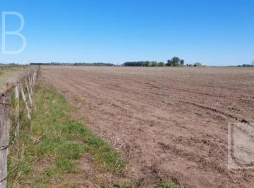 Campo · 920000m² · Campo en Saladillo