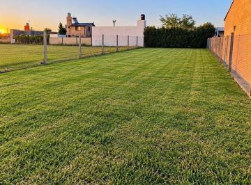 Terreno · 320m² · Terreno Escriturado - Oportunidad - Campiñas de Piñero